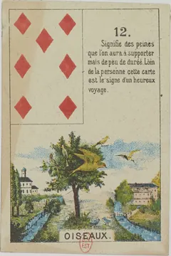 12. นก